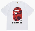 B173 white