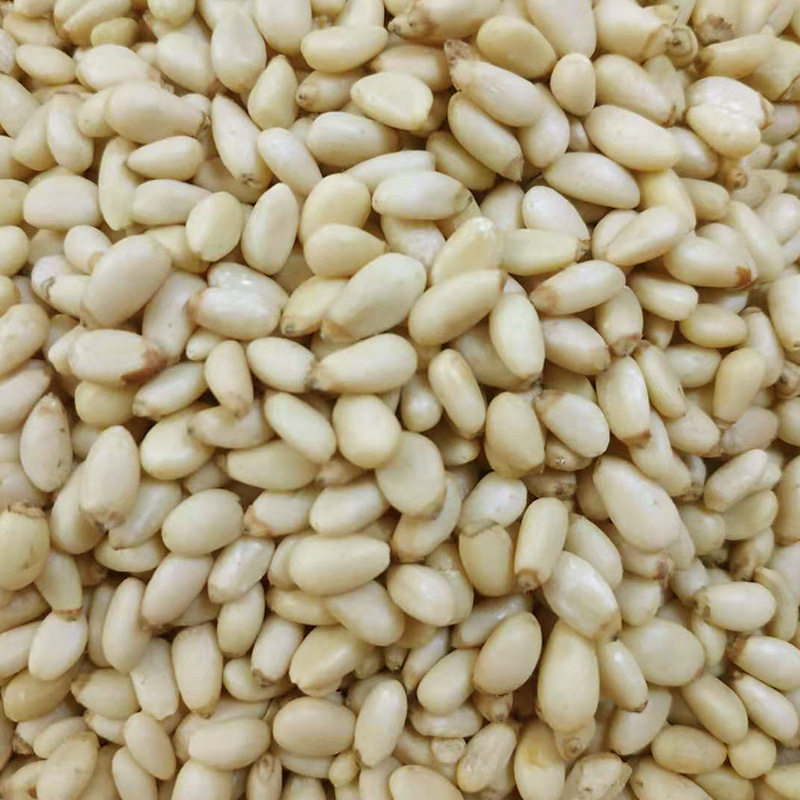 Pine Nuts Bulk Cake Baking Ingredients Peeled Nuts Daily Nuts Roasted Seeds and Nuts Wholesale Huashan Pine Nuts