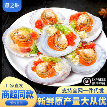 Garlic Vermicelli Scallop Meat Large Fresh Frozen Seafood Barbecue Steamed Scallops Ready-Made Dishes Commercial Wholesale
