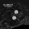 A pair of white zircon magnetic ear clips