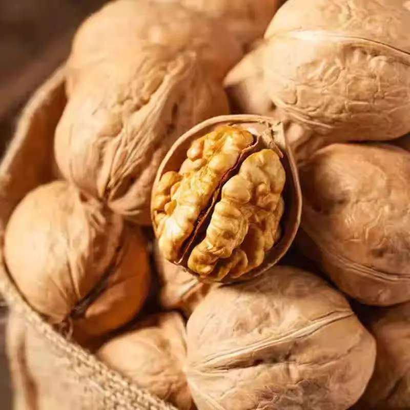 Xinjiang 185 Paper-Skinned Walnuts Wholesale Large Size 500g Bagged Easy to Peel Delicious Nutritious Thin-Skinned Fresh Walnuts