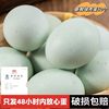 29 Pieces of Farm-Raised Free-Range Green-Shelled Fresh Eggs for Pregnant Women, 40g Edible Eggs from Mainland China