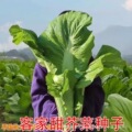 seller product image