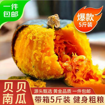 Beibei Pumpkin Fresh Seasonal 2.5kg Authentic Chestnut Flavor Old Pumpkin Powder Glutinous Sweet Whole Box Free Shipping 10 Small Pumpkins