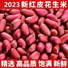 2025 Wholesale Rice Self-Produced Red-Skinned Peanuts, Four-Piece Peanuts, Small Raw Rice Manufacturers, Raw Peanuts, New Products for the Year