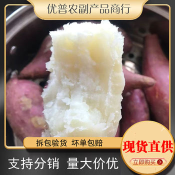 Youpu Authentic White Heart Sweet Potato Fresh Farm Red-Skinned Chestnut Potato Sweet Potato Sweet Potato Powder Glutinous Sweet Potato Wholesale