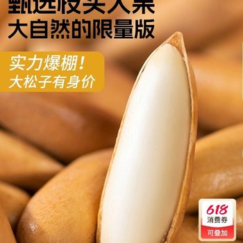 Brazilian Pine Nuts Extra Large Capsules Original Flavor 500g Afghan Hand Peeled Pine Nuts Imported 2025 New Nuts