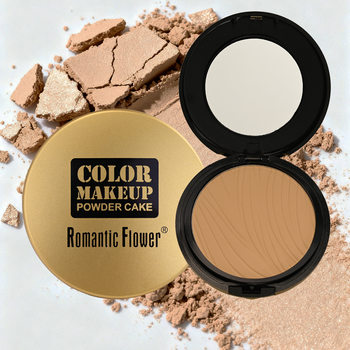 Cross-Border Export of 6-Color Powder Compact, Matte, Waterproof, Oil-Controlling, Full Coverage Facial Makeup, Concealer, Contouring Pressed Powder