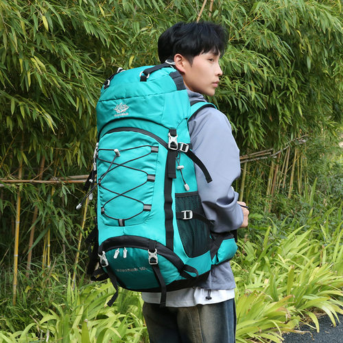 专业登山包大容量双肩背包男女户外徒步旅行包防水露营背囊60L - 图2