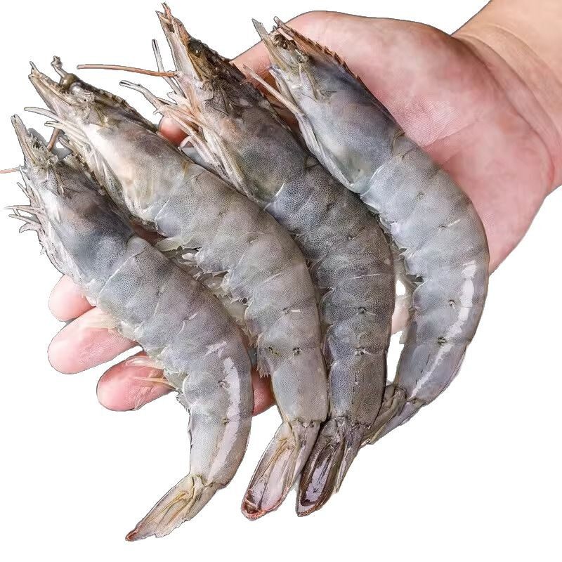 Ecuadorian White Shrimp Fresh Quick-Frozen Salt-Frozen 2030 South American White Shrimp Base Shrimp Sea Shrimp Prawn Commercial