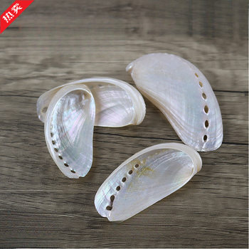 Natural Conch Abalone Shell Polished New Zealand Large Shell Props Fish Tank Landscaping Decoration