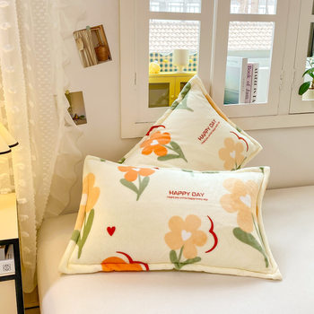 Winter Thickened Double-sided Milk Fleece Flannel Coral Fleece Household Pillowcase Wholesale Gift Foreign Trade Xiyin Explosions