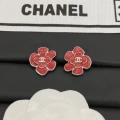 B704 earrings