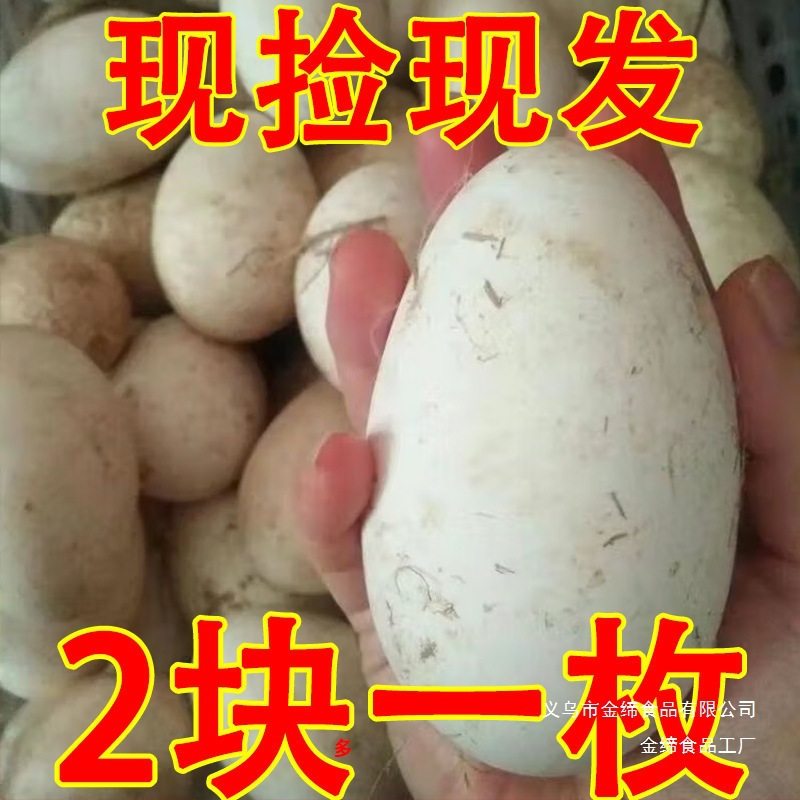 Fresh Goose Eggs for Pregnant Women, Farm-Raised Free-Range Goose Eggs, Specialty Products, Freshly Picked and Shipped, 12 Large Goose Eggs