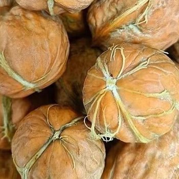New Arrival 2025 Fresh Walnuts Sichuan Thin-Skinned Walnuts Tender Walnuts Raw Walnuts Pregnant Women Large Fruit Green Skin Fresh Wet Walnuts