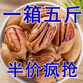 Pecan New Arrival Thin-Shell Longevity Fruit 500g 250g Pecan Nut Snacks New Year Goods Wholesale 1 Jin 1.0kg Dropshipping