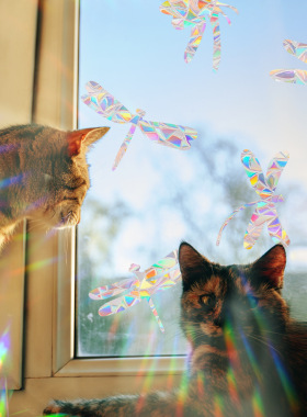 Suncatcher Window Stickers PVC Wall Sticker Kids Bedroom