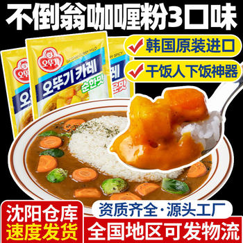 South Korea tumbler original curry powder 100g household Korean Curry block seasoning powder small package original imported