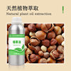 Hazelnut Oil Manufacturer Direct Supply Hazelnut Oil Mountain Hazelnut Oil Wholesale Cosmetic Grade