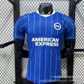 Player version: 26/27 brighton home kit