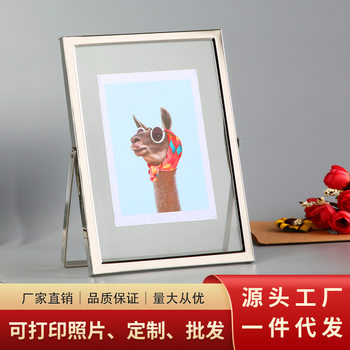 Nordic Transparent Glass Metal Photo Frame Display Stand 7inch Silver DIY Dried Flower Plant Specimen Frame Picture Frame Ins Style