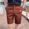 Light brown 2
