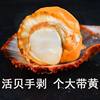 Fresh Frozen Scallops with Yellow Large Scallops Seafood Aquatic Products Fresh Scallops Garlic Scallops Barbecue Commercial Wholesale