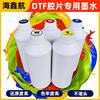 White Ink, No-Cut Heat Transfer Water-Based Ink, Powder Shaker Pet Printing Film, Coating Ink, Dtf Ink Inkjet