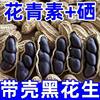 Authentic Selenium-Rich Black Peanuts from Yunnan, Shelled Purple Peanuts, Black Peanuts, Raw Peanuts 500g Wholesale
