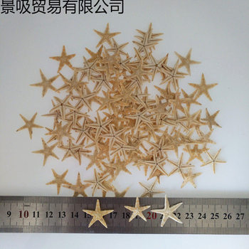 Starfish Accessories Shell Mini Starfish Decorative Accessories Crystal Glue Desktop Ornaments Kindergarten