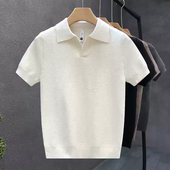 2025 Men's Summer New Style Knitted Lyocell Scissor Collar Short-Sleeved Knitwear Cool Slim Anti-Wrinkle T-Shirt