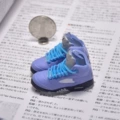 5 College Blue (a pair of nude shoes)