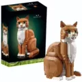 Orange cat