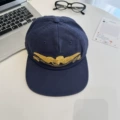 Flat roof navy blue