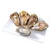 2.5kg Free Shipping Oysters Fresh Oysters Ready-To-Eat Seafood Barbecue Fresh Seafood Shelled Aquatic Products Sea Oysters