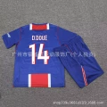 Ligue 1-2627BL home jersey with number 14 DUE printed on it
