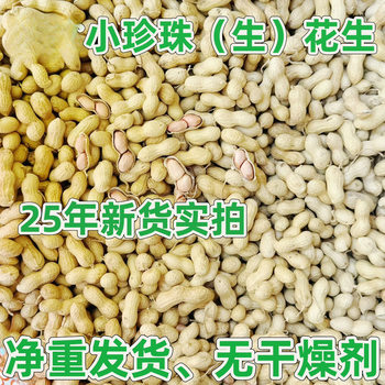 Seasonal Pearls with Shells 25 Peanuts New Arrival Northeast Sun-Dried Fresh Picked Original Selected Farm Pearls Small Peanuts