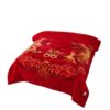 Raschel Blanket Live Explosions Double Thickened Blanket Single and Double Fall/Winter Nap Blanket Group Buying Gift Wholesale