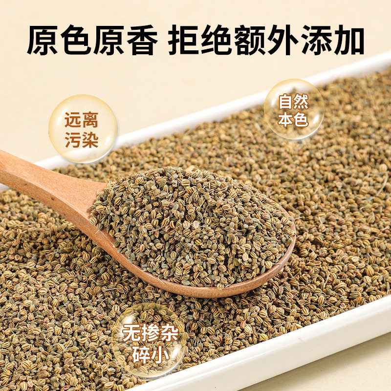 Dill Seed Spice Seasoning Collection for Sausage, Seafood, and Curry