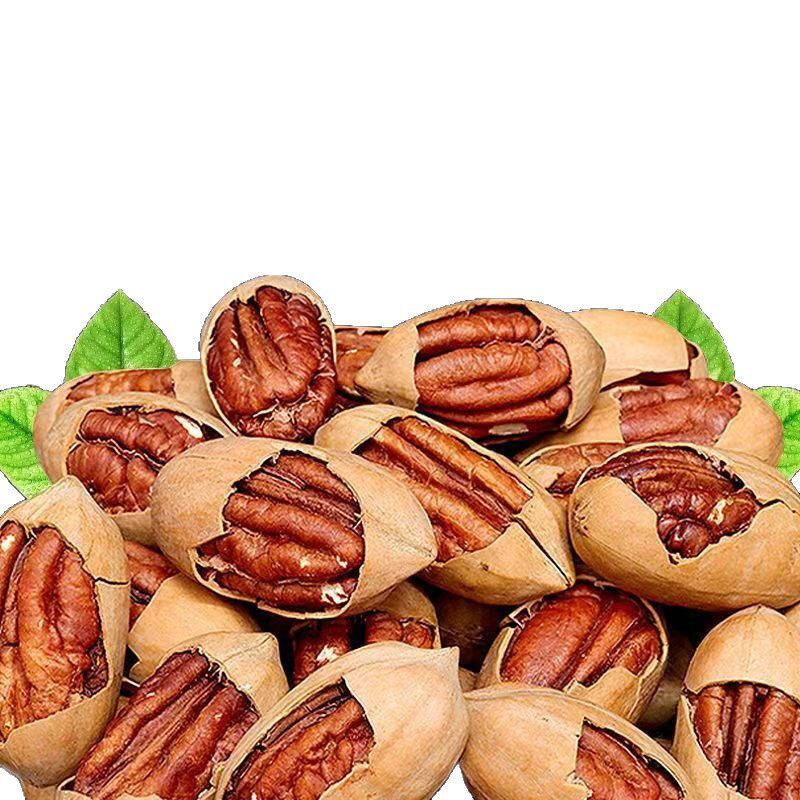 Wholesale Selection of Pecan Whole Box New Arrivals Pecan Cream Flavor Longevity Fruit Dried Fruit Snacks