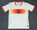 2627 netherlands away game