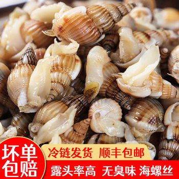 Frozen Sea Snails Large Sea Cone Bags Affordable Commercial Wholesale Seafood Aquatic Products Sf Express Free Shipping