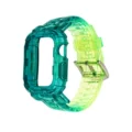 Gradient green, rubber ring (extended version)