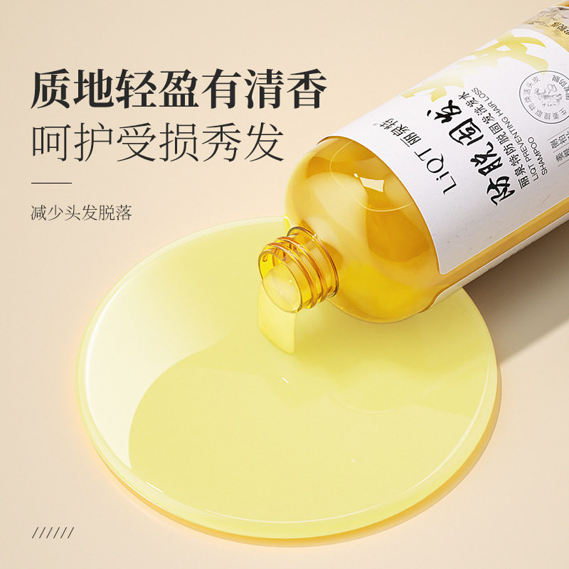 Liquanteng Ginger Anti-Hair Loss Shampoo 500ml Camellia Seed Ginger Root Ginger Oil Control Volumizing Anti-Hair Loss Liquid