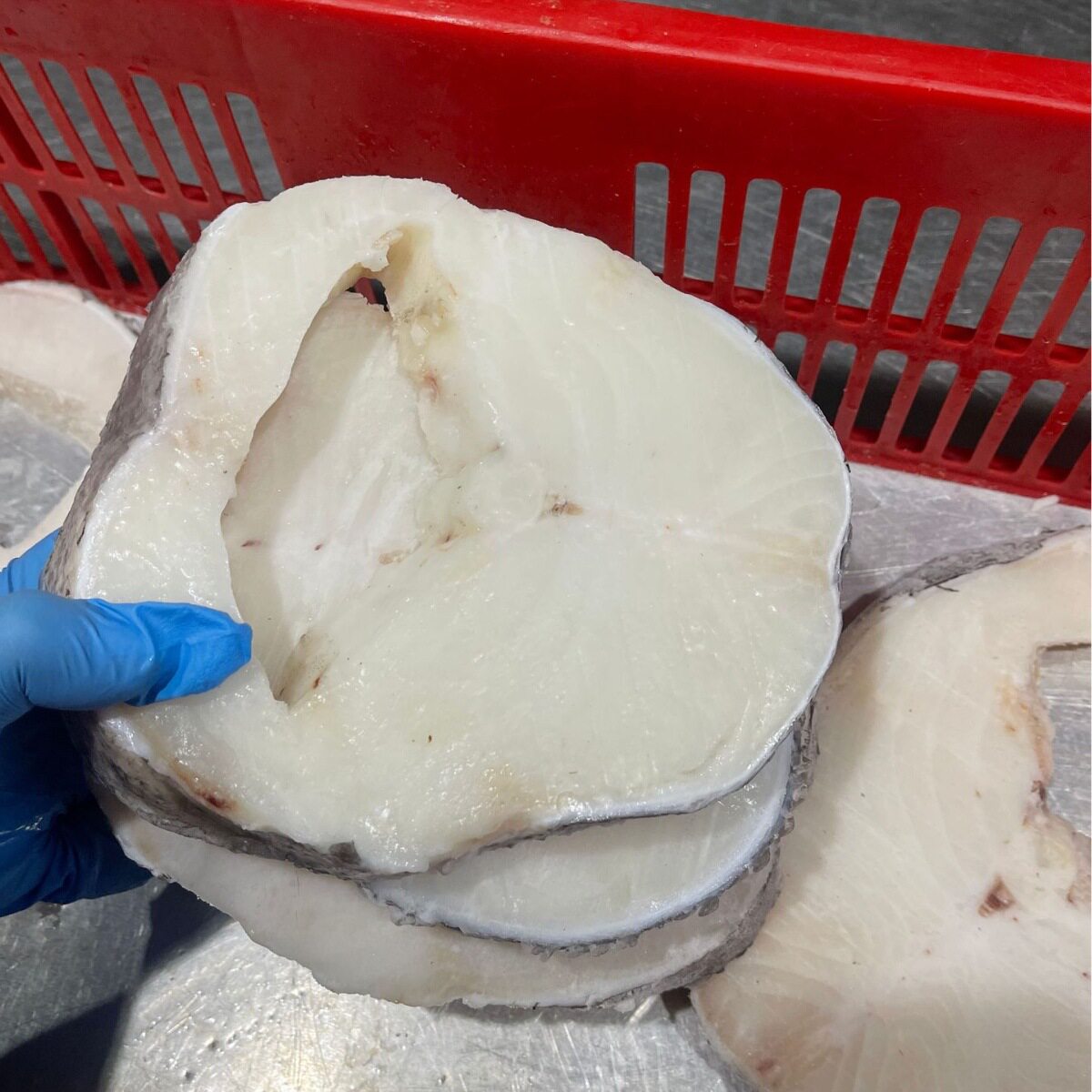 Silver Cod Wholesale Imported from France, Deep-Sea Large Cod Middle Section, No Frozen Antarctic Toothfish, Single Piece Defective