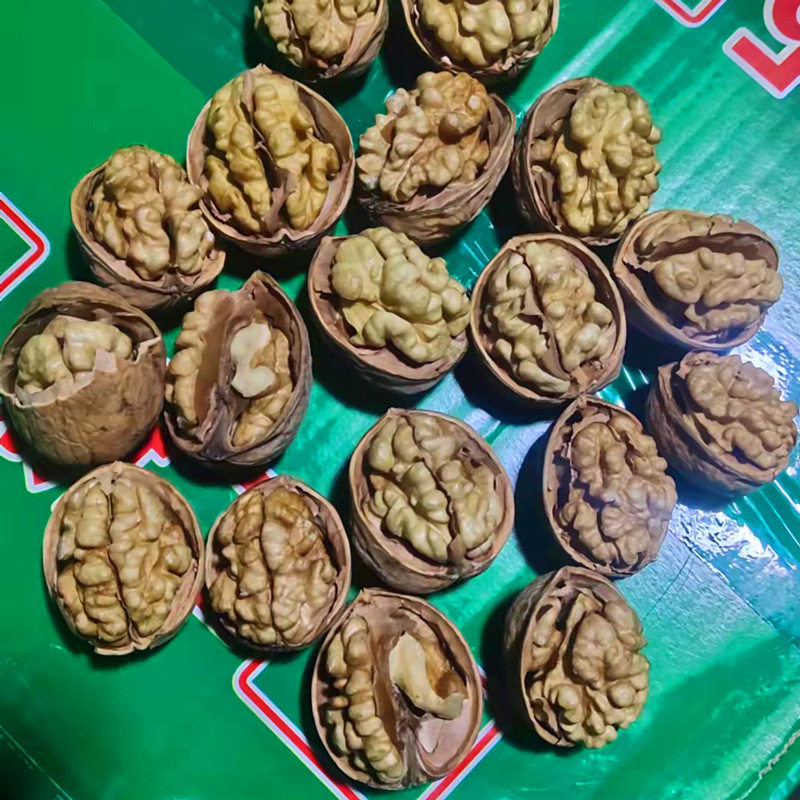 Sample Delivery of Xinjiang Aksu Raw Walnuts Original Flavor 500g Individually Packaged 185 Thin-Skinned Paper-Skinned Walnuts