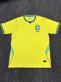 2627 brazil home fan kit