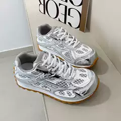 Paris Style Mesh Silver Dad Sneakers for Women, 2025 Summer New Chunky Platform Casual Sports Shoes, WYB Same Style