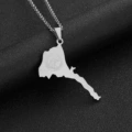 Steel color necklace c