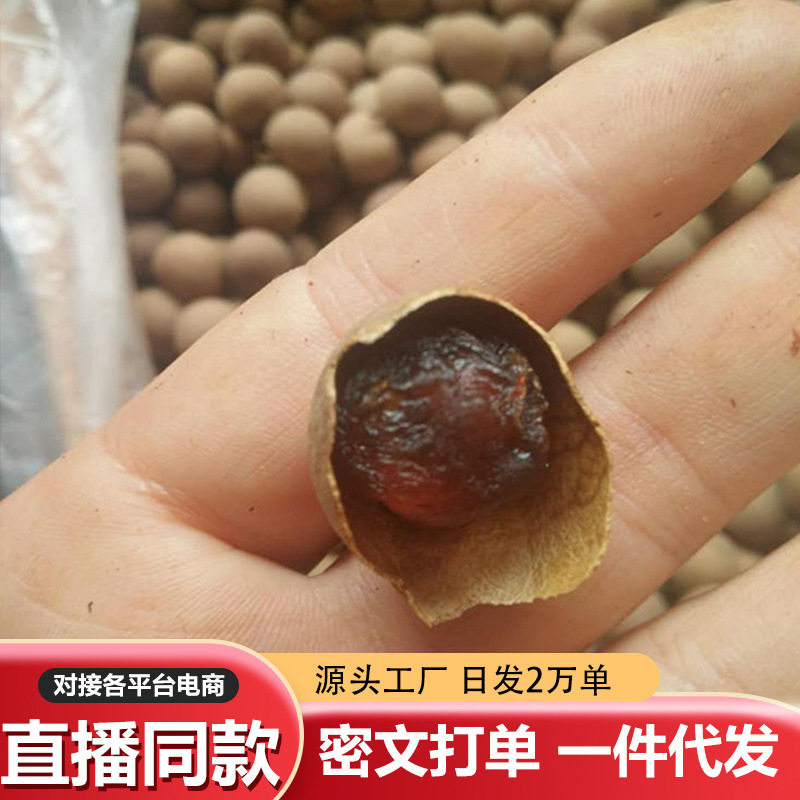 Dried longan dried longan big fruit in stock dried longan 500g Putian shelled dried longan a generation of dried fruit
